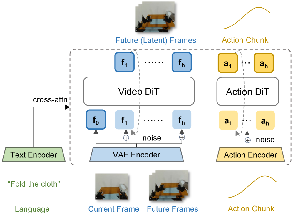 Fast-WAM model architecture: video DiT and action expert DiT coupled by shared attention.